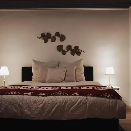 公寓 Charmantes & Offenes 拉姆斯泰因-米森巴赫