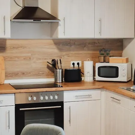 Charmantes & Offenes 公寓 拉姆斯泰因-米森巴赫